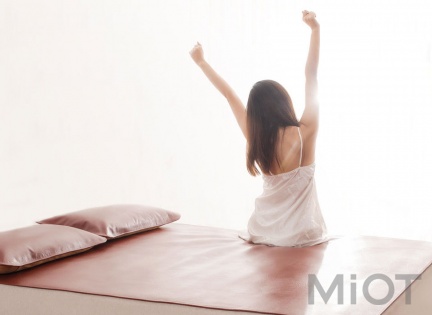 Комплект для ліжка Xiaomi Bedding++ Top Layer Buffalo Leather Set 1.8